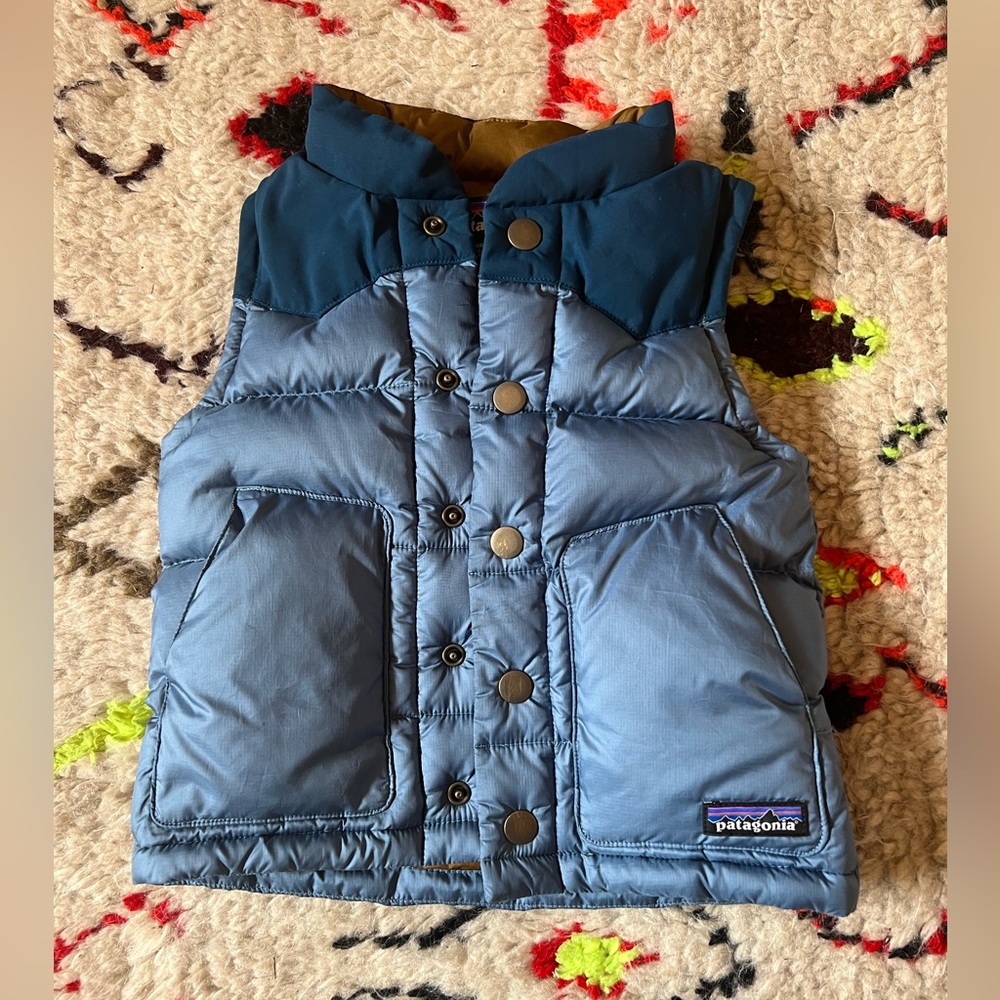 Patagonia Bivy Vest 2T